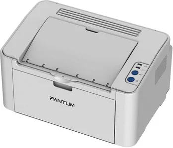 Замена ролика захвата на принтере Pantum P2200 в Нижнем Новгороде